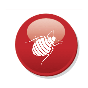 pest control essex